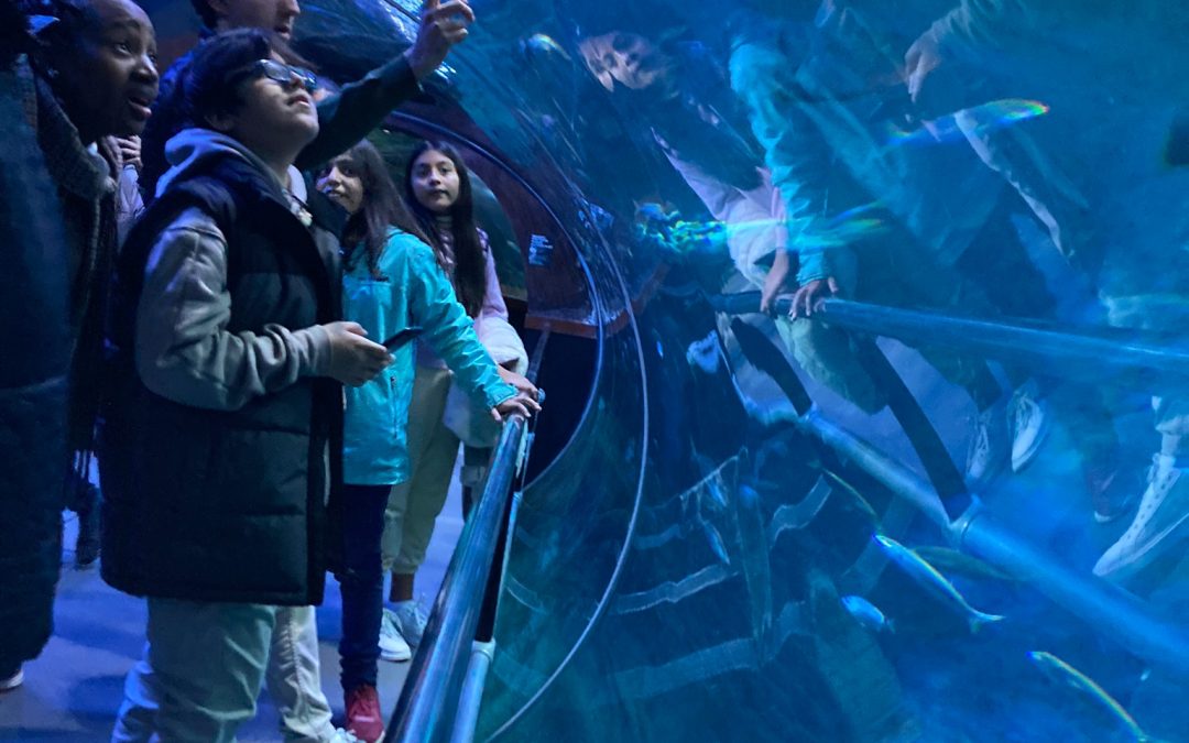 El Aquarium de Donostia nos enseña sus secretos – Entidades por la Mentoría Social