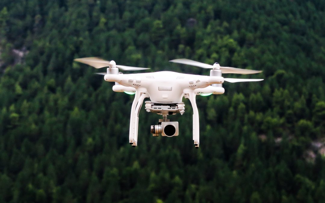 Frantziako justiziak mugako kontrola eten du droneen bidez